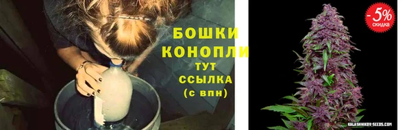 трава Балахна