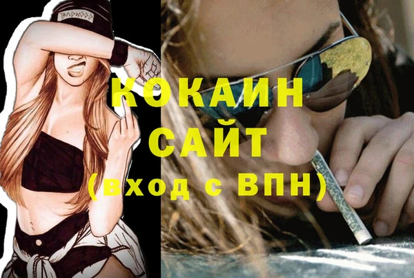 трава Балахна