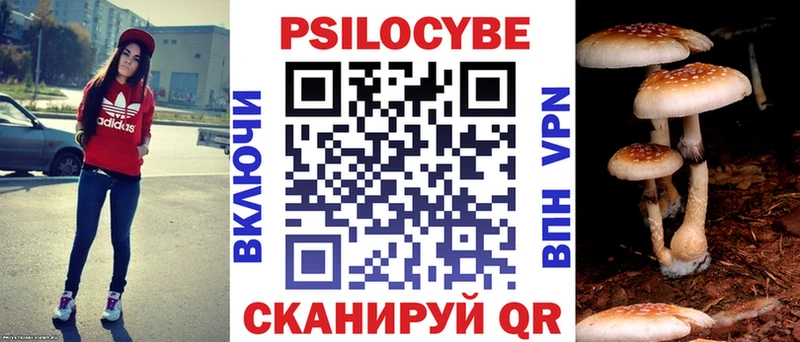 Псилоцибиновые грибы ЛСД  Купить  Гай 